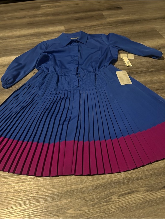Eliza J Dresses & Skirts - Eliza J Blue and Magenta Pleated Long Sleeve Dress